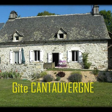 Gite Cantauvergne Villa Vebret Kültér fotó