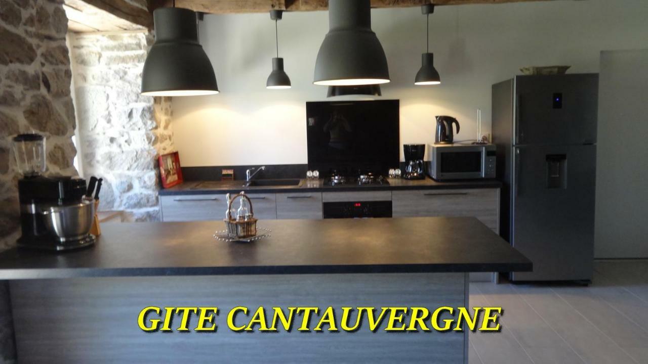 Gite Cantauvergne Villa Vebret Kültér fotó