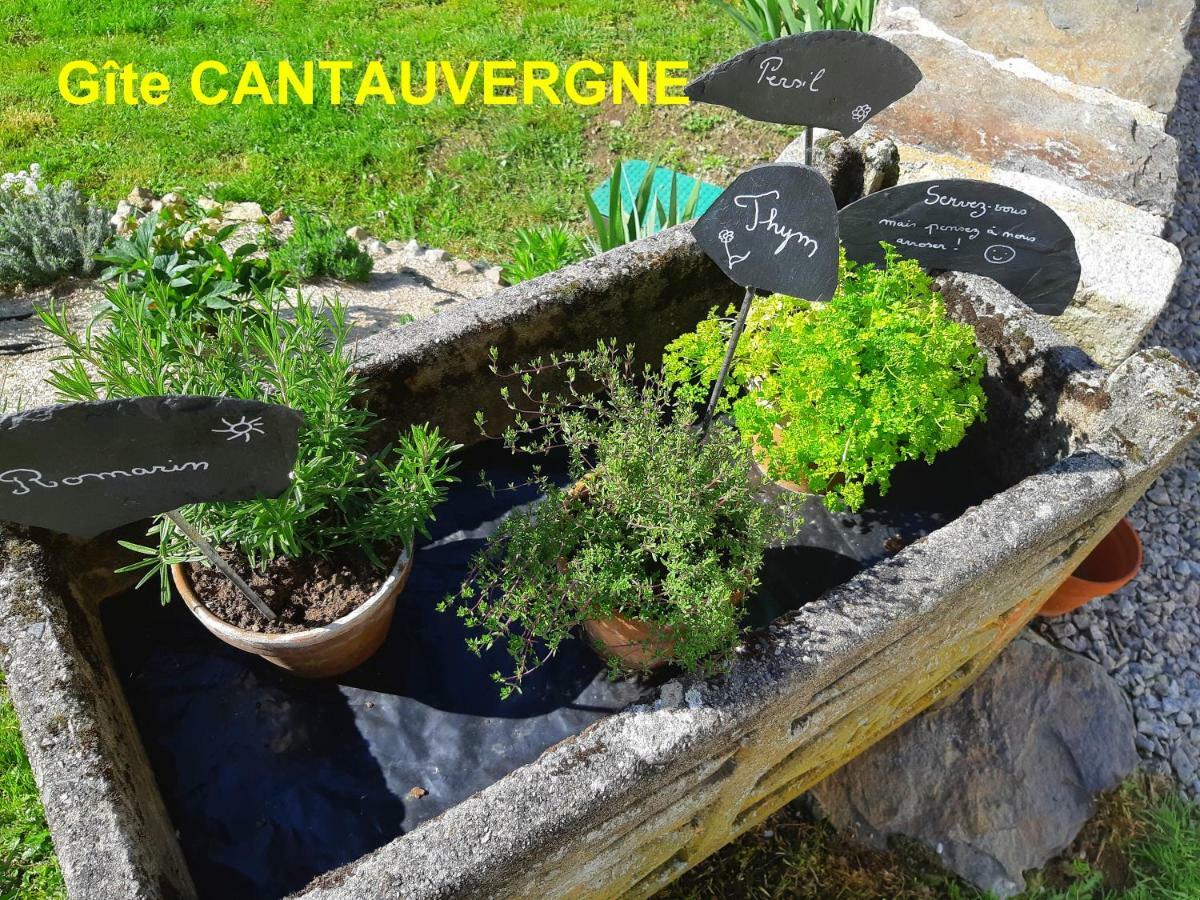 Gite Cantauvergne Villa Vebret Kültér fotó